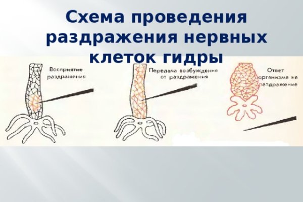 Кракен сообщество