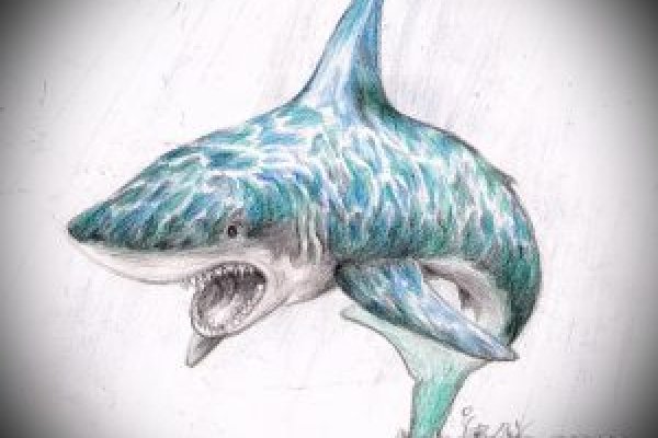 Kraken 4 ссылка