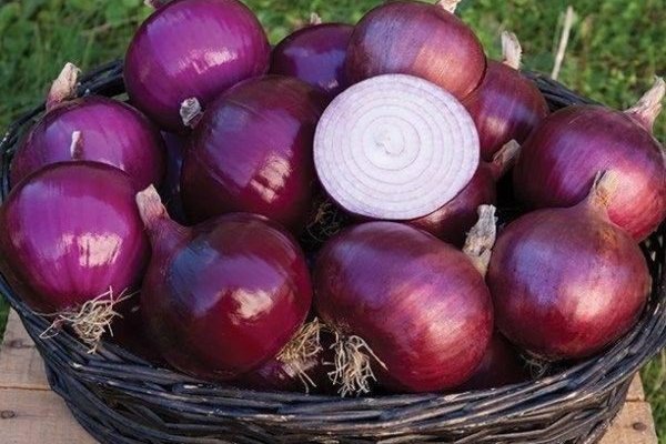 Короткая ссылка на кракен