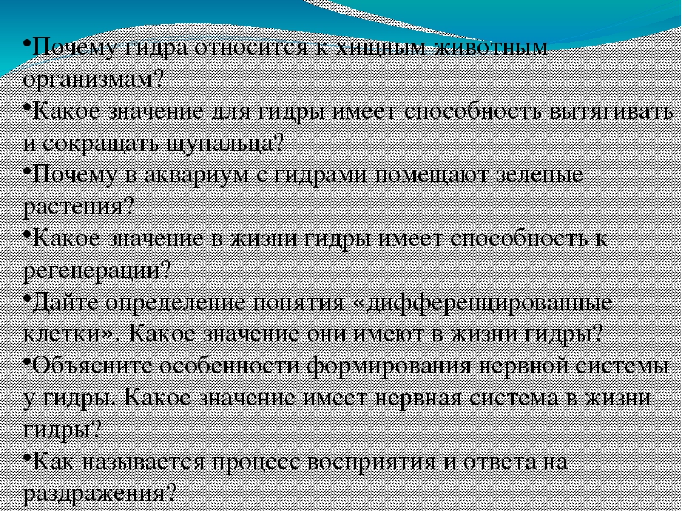 Кракен купить меф